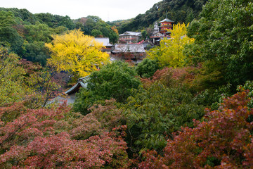 信貴山朝護孫子寺