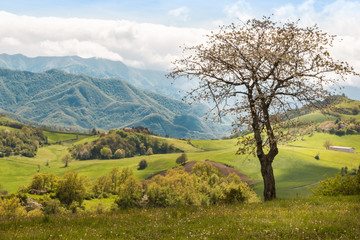 Fototapeta na wymiar Beautiful Italian Countryside Landscape over Rolling Hills and B