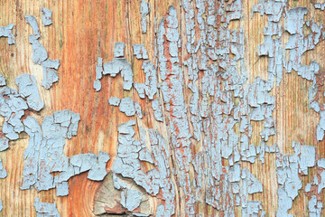 cracked gray paint on old plywood. background.