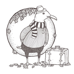 traveled seagull coloring page