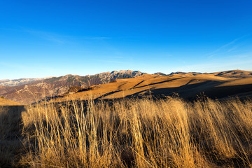 Prealps of Veneto - Lessinia and Carega / Venetian prealps in the Regional Natural Park of Lessinia, Veneto, Verona, Italy. In the background the small Dolomites (Carega)