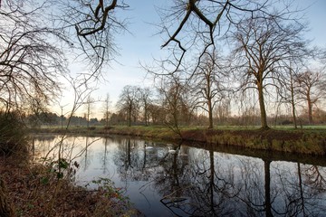 Swan family at Castle Linn