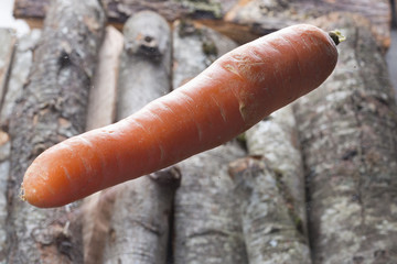 Really fresh carrots