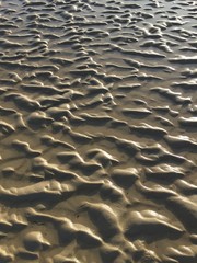 sable à marée basse