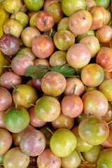 passion fruit makisa