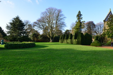 Fototapeta na wymiar An English country garden in winter time. 