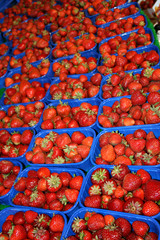 bio lifestyle erdbeeren closeup, viele, ungespritzt, bioladen, obsthandel, werbetafel, werbefläche, kulisse