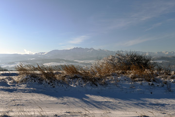 Krzewy i trawy na tle pasma gór pienin © jaworex