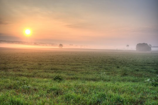 Sommermorgen im Nebel