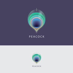 Colorful peacock feather logo design element for business visual identity