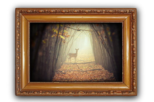 beautiful image with deer in wooden frame
