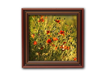 image with poppies on wood frame