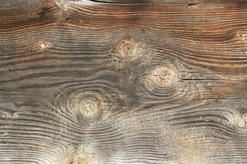 knots on spruce wooden texture