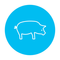 Pig line icon.