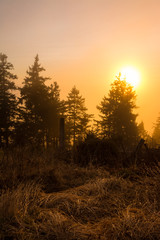 Schwarzwald - Sonnenuntergang am Schliffkopf