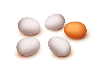 three eggs isolated