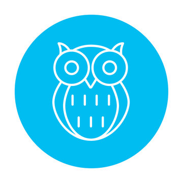 Owl line icon