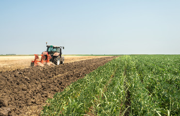 Tractor plowing field