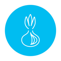 Onion line icon.