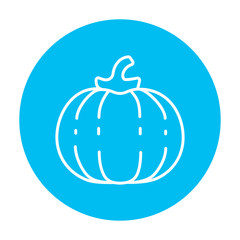 Pumpkin line icon.