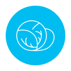 Cabbage line icon.