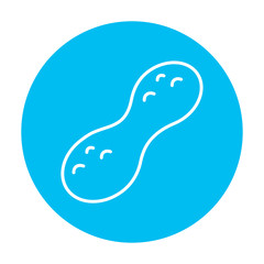 Peanut line icon.