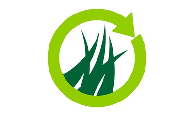 Green Project 