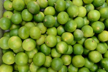 lime citrus fruit