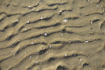 Ondulations dans le sable mouillé