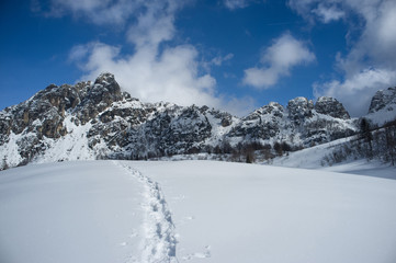 Fototapeta na wymiar walking on snow