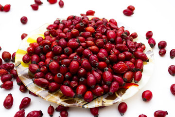 Red dries fruit of rosa canina