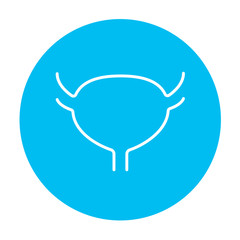 Urinary bladder line icon.