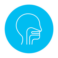 Human head with ear, nose, throat system line icon.