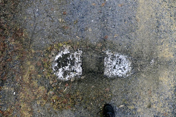Big foot
