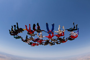 Skydiving big group formation, teamwork.