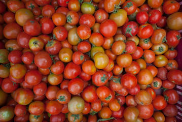 Tomatoes