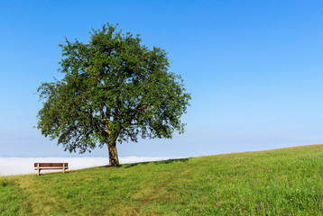 Rest in Nature