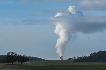 Obraz premium Tree on smoke stack