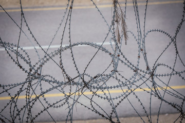 Barbed Wire Wall