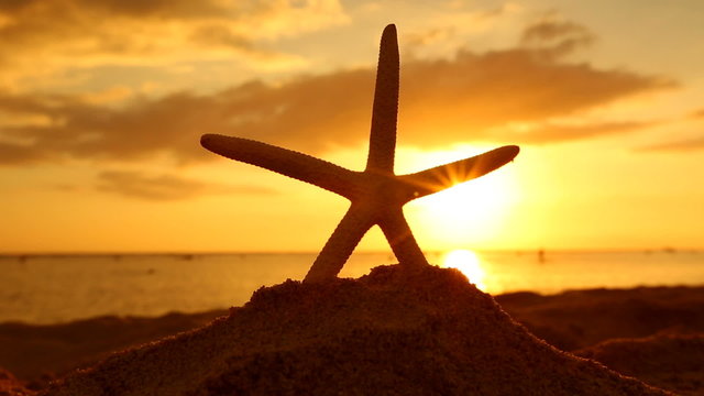 Summer vacations - Sea Starfish on the beach at sunset, Oahu Hawaii.