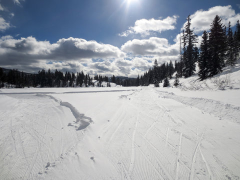Intersection on a skate skiing trail with sun flare