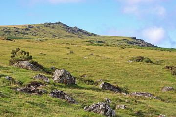 Fototapeta na wymiar Dartmoor, Devon