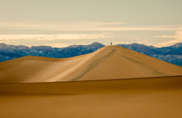Fototapeta na wymiar standing on the dune summit