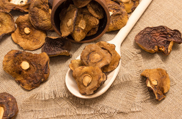 Dried mushrooms on canvas