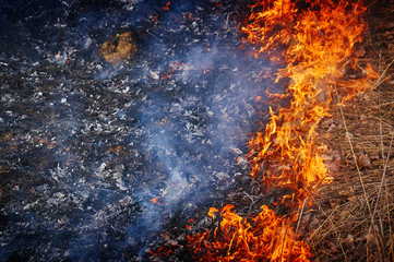 Burning Grass