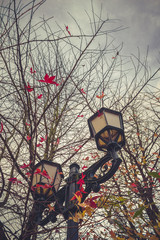 Streetlight and Autumn