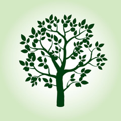 Green Apple Tree. Vector Illustration.