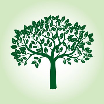 Green Apple Tree and Roots. Vector Illustration.