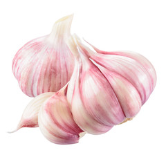 Fresh garlic isolated on white background. With clipping path.