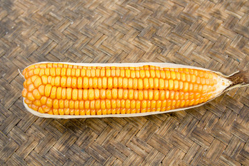 corn isolated on a brown background #3